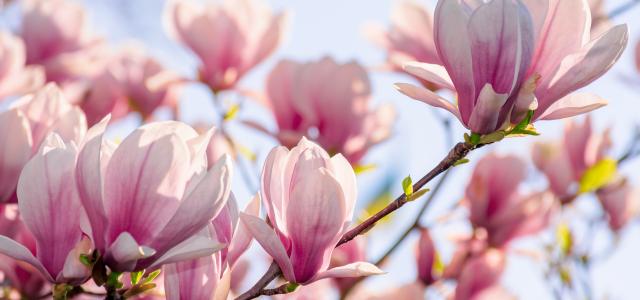 April Newsletter